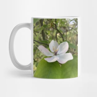 a white flower Mug